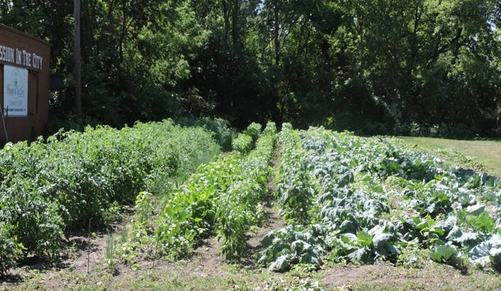 Community Garden – Mission In The City